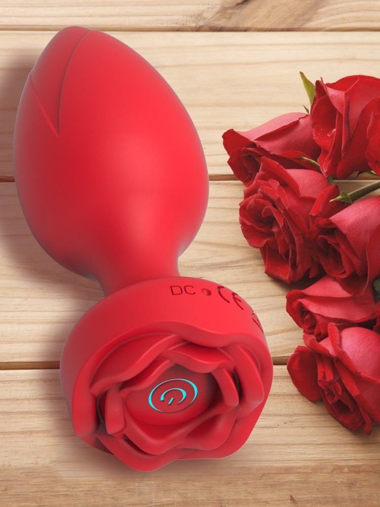 振动肛塞 10 种模式振动肛塞遥控振动器,肛门珠前列腺按摩器,男女用插头肛门玩具,情侣成人情趣用品